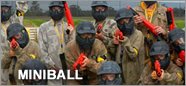 howto-miniball